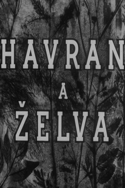 Movie poster for Havran a želva (1949)