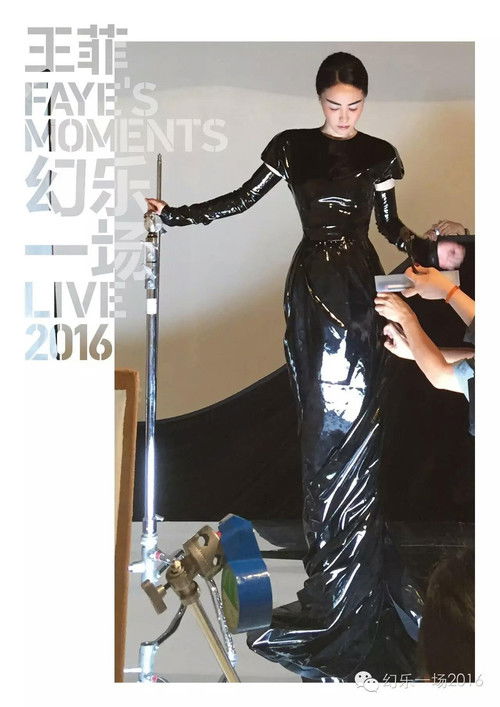 Movie poster for Faye's Moments Live 2016 (2016)