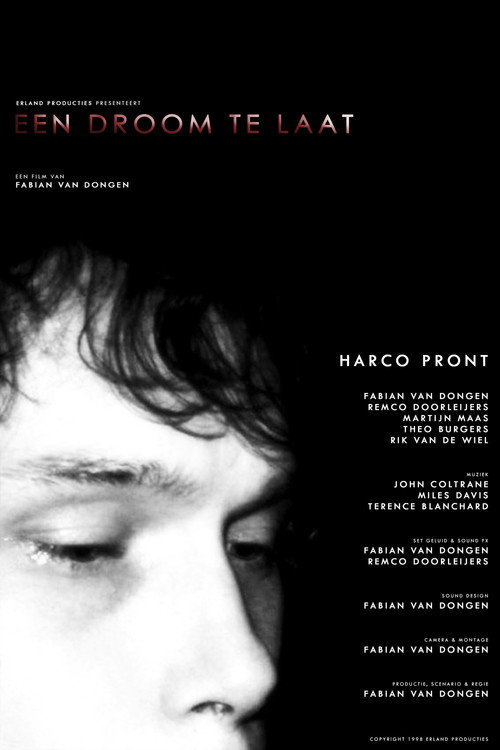 Movie poster for Een Droom Te Laat (1996)