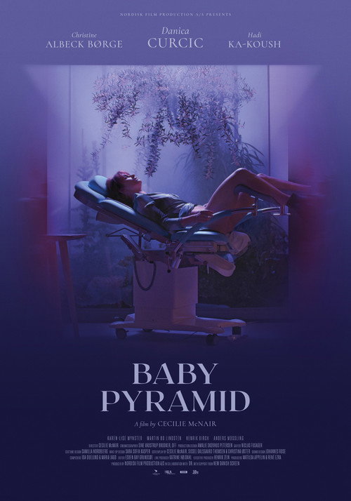 Movie poster for Baby Pyramid (2022)