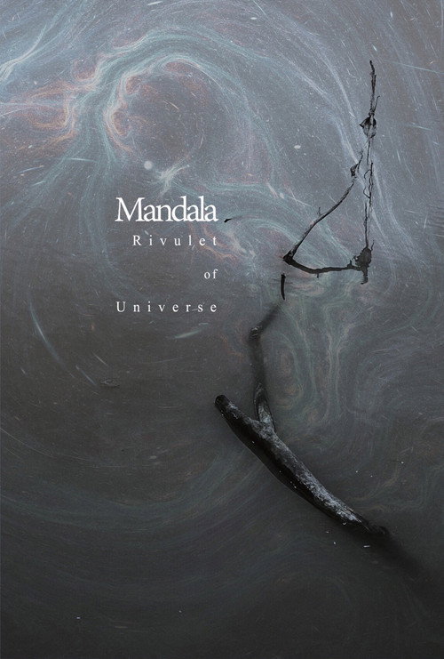 Movie poster for Rivulet of Universe (2024)