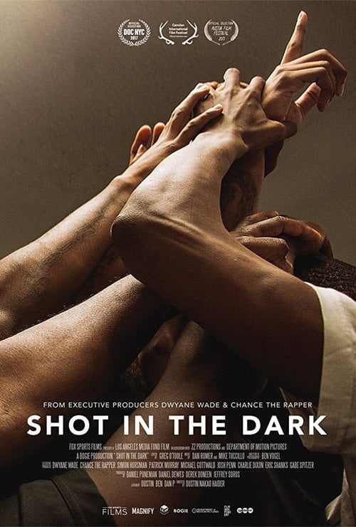 Movie poster for Shot in the Dark (2018)