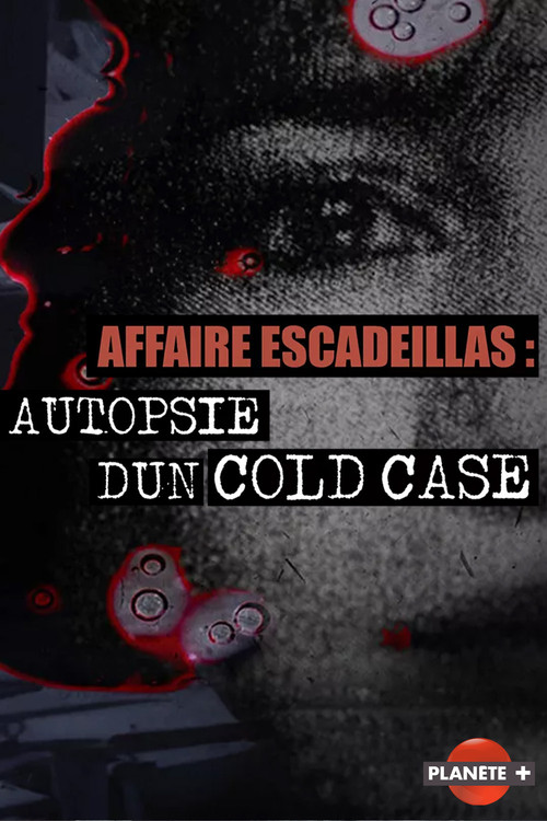 Series poster for Affaire Escadeillas : autopsie d'un cold-case (2024)