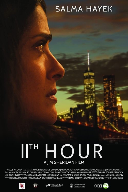 Movie poster for 11th Hour (2017)