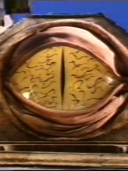 Movie poster for On the Record (1988)