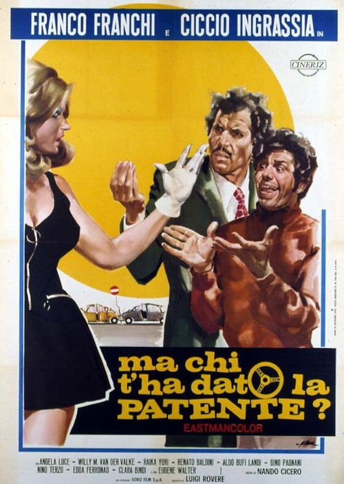 Movie poster for Who Gave You the License? (1970)