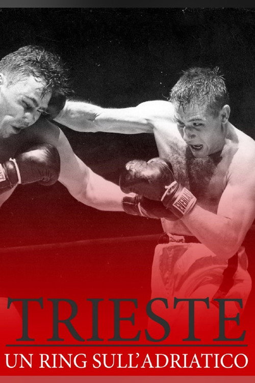 Movie poster for Trieste, Un ring sull'Adriatico (2009)