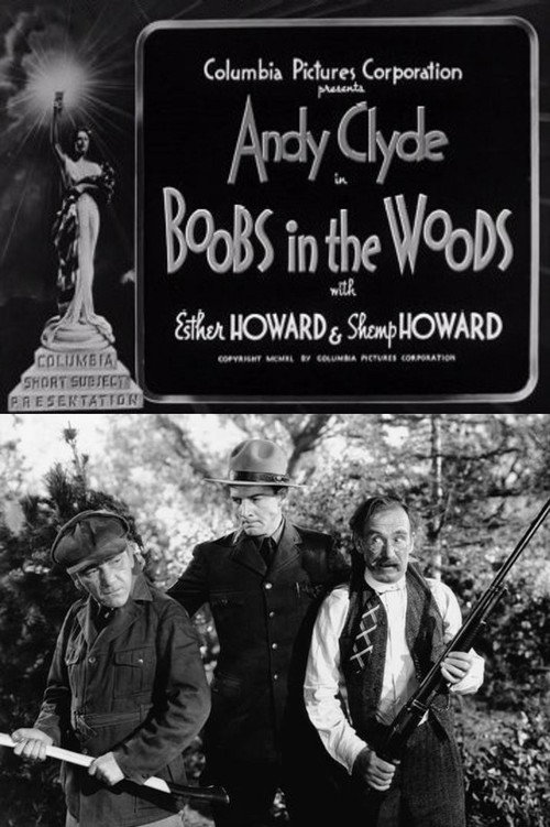 Movie poster for Boobs in the Woods (1940)