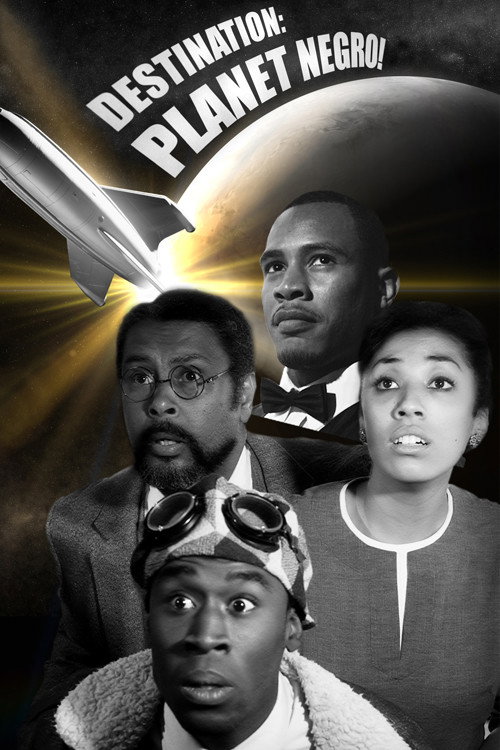 Movie poster for Destination: Planet Negro! (2013)