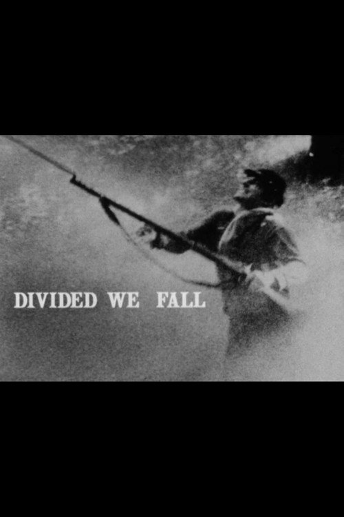 Movie poster for Divided We Fall (1982)