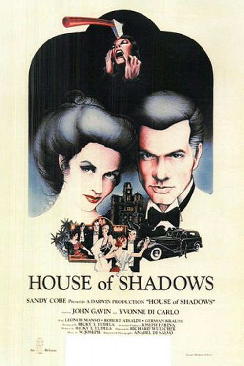 Movie poster for House of Shadows (1976)