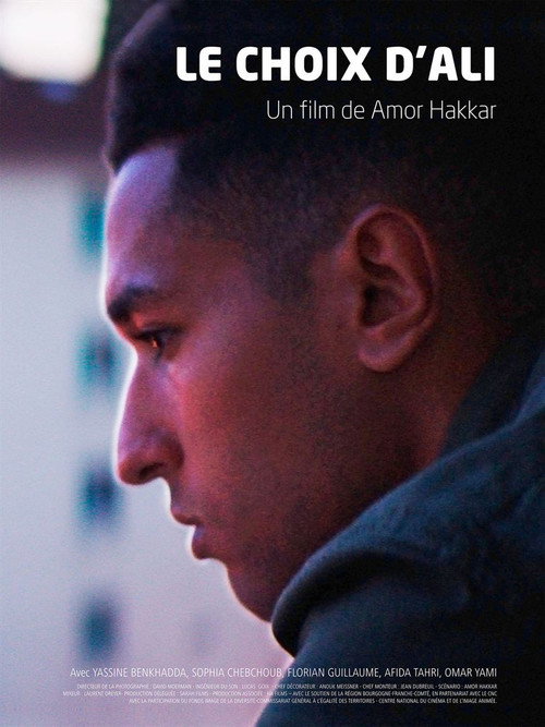 Movie poster for Le choix d'Ali (2019)