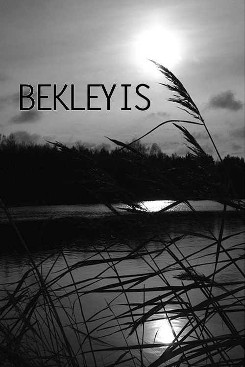 Movie poster for Bekleyis (1976)