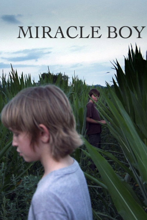 Movie poster for Miracle Boy (2012)