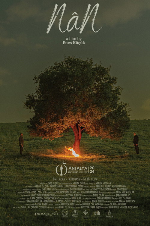 Movie poster for NâN (2024)