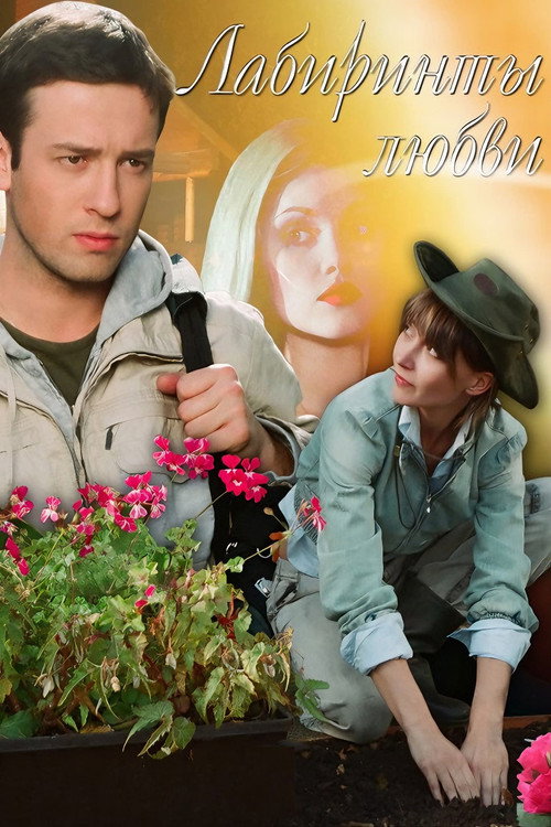 Movie poster for Labyrinths of Love (2008)
