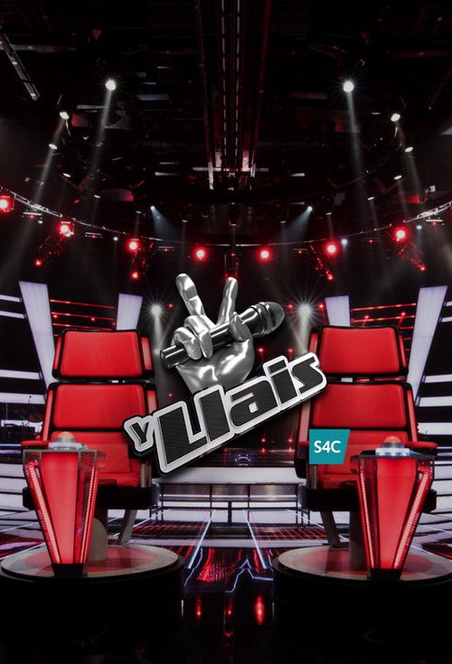 The Voice poster