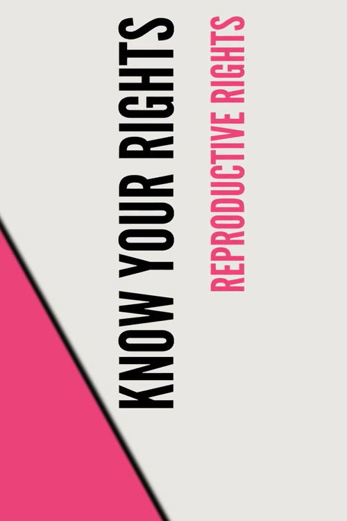 Movie poster for Stand UP, Speak OUT: Reproductive Rights - Know Your Rights (2023)