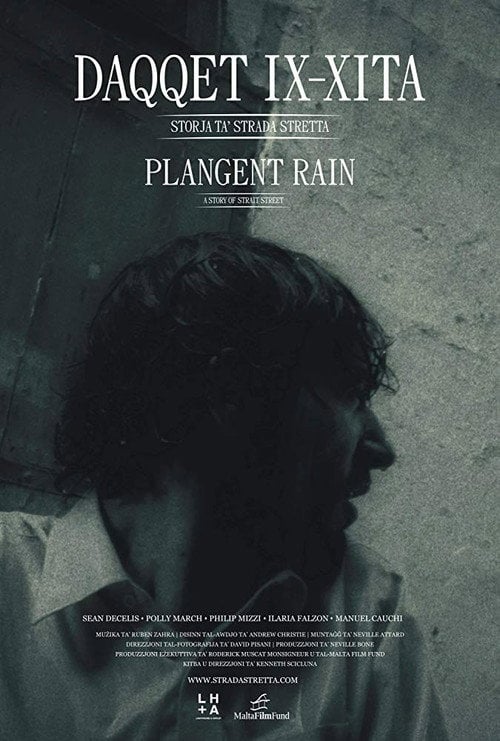 Movie poster for Plangent Rain (2011)