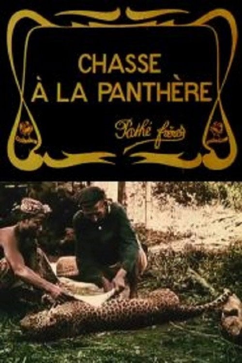 Movie poster for Hunting the Panther (1909)