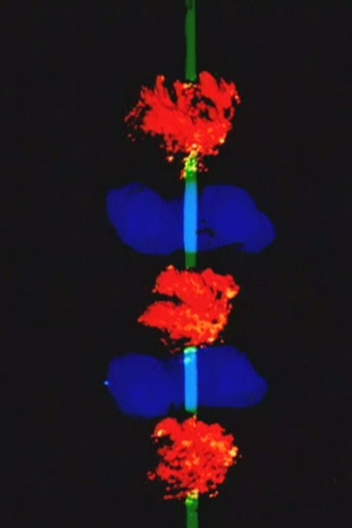 Movie poster for 1:1 (2001)