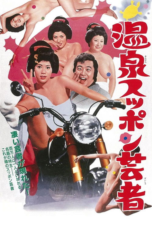 Movie poster for Turtle Geisha (1972)