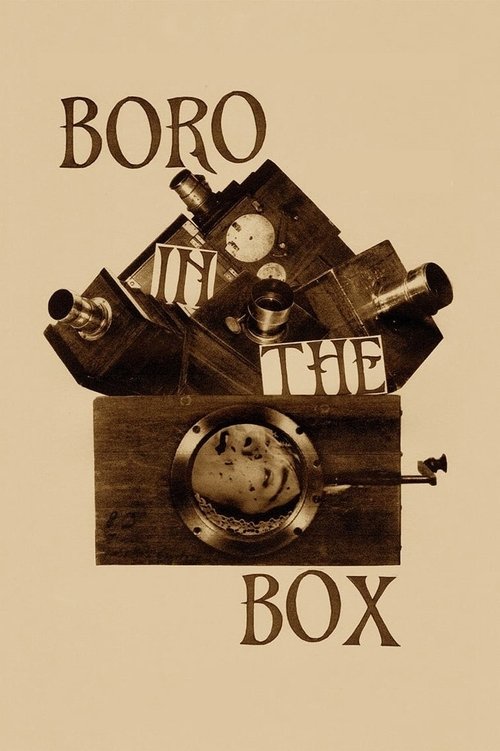 Movie poster for Boro in the Box (2014)