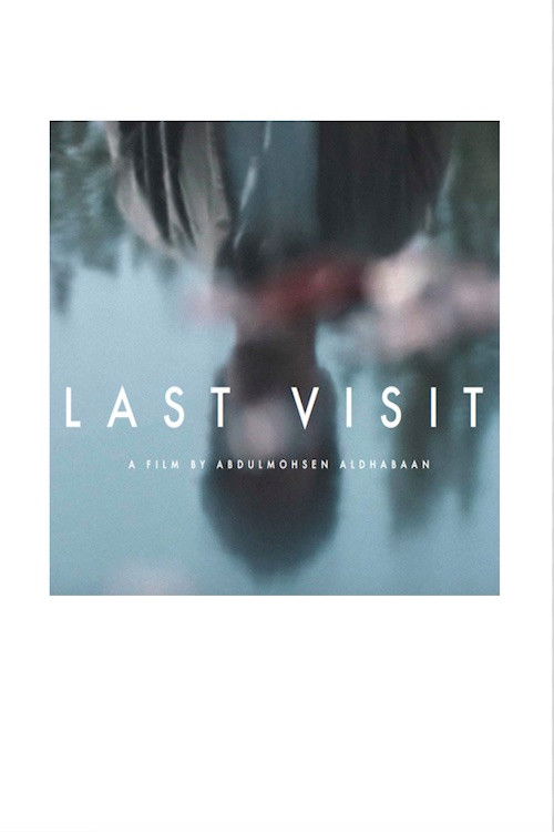 Movie poster for Last Visit (2019)