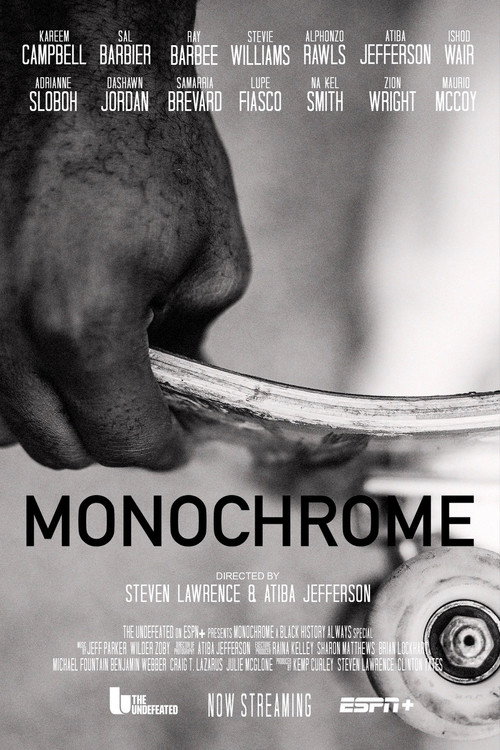 Movie poster for Monochrome