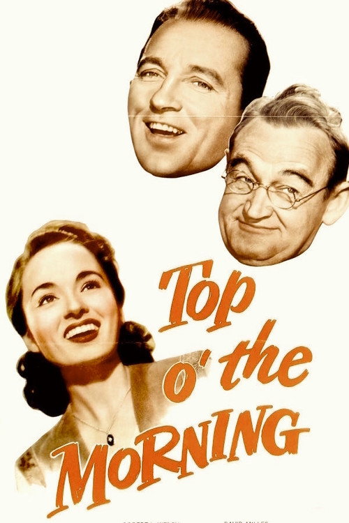 Movie poster for Top o' the Morning (1949)