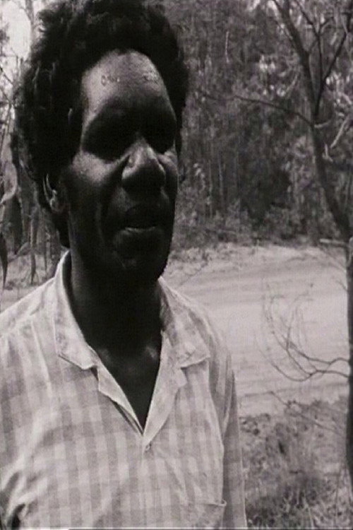Movie poster for Conversations with Dundiwuy Wanambi (1995)