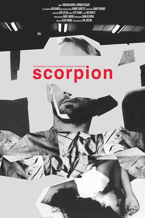 Movie poster for Scorpion (2016)