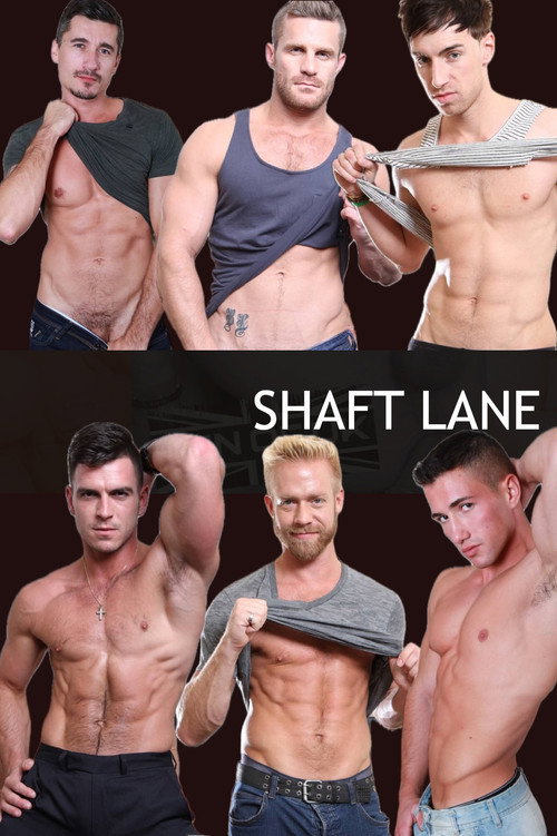 Movie poster for Shaft Lane (2013)