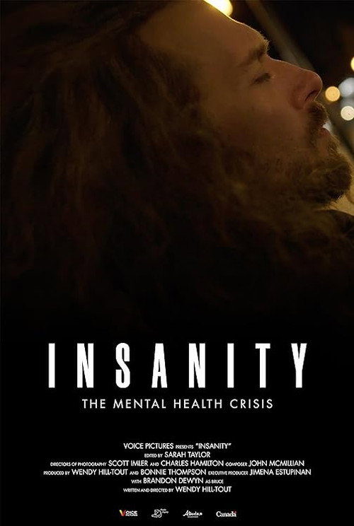 Movie poster for Insanity (2022)