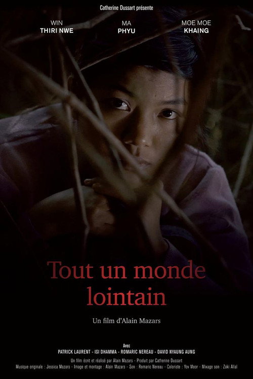Movie poster for Tout un monde lointain (2017)