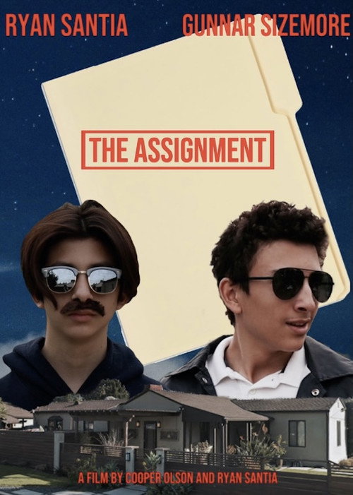 Movie poster for The Assignment (2020)