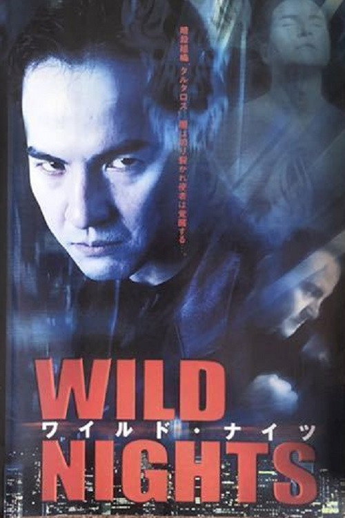 Movie poster for Wild Nights (2001)