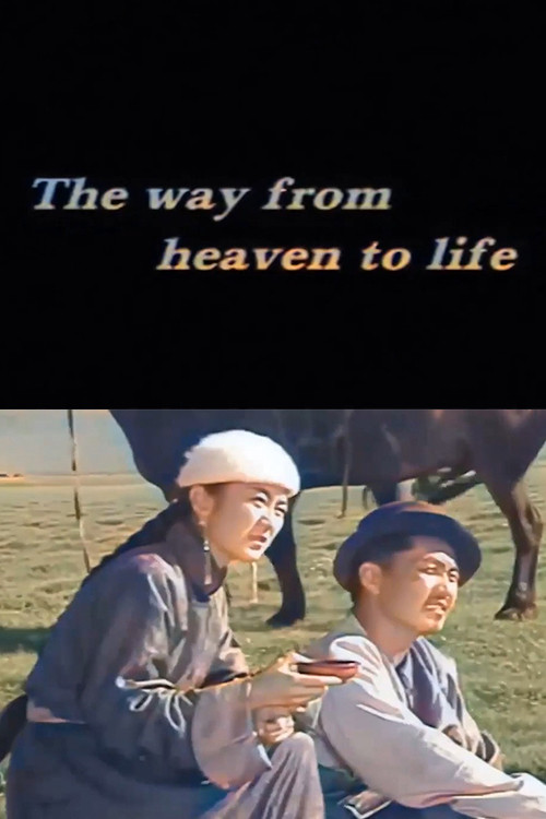 Movie poster for The Way From Heaven to Life (1999)