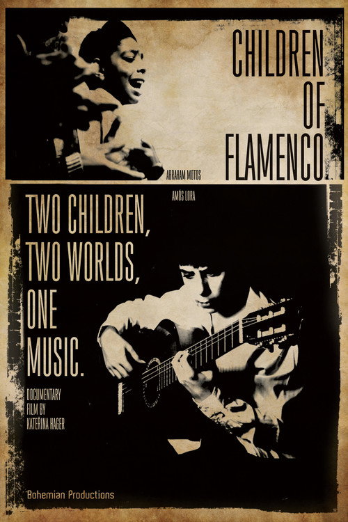 Movie poster for Children of Flamenco (2013)