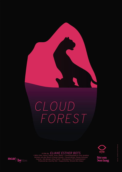 Movie poster for Cloud Forest (2019)