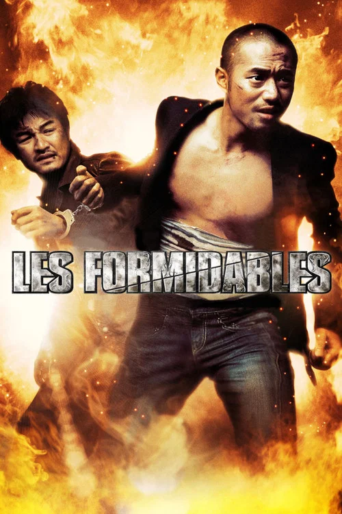 Movie poster for Les Formidables (2006)