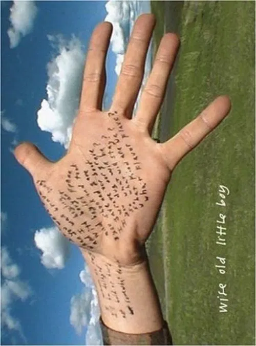 Movie poster for Wise Old Little Boy (2004)