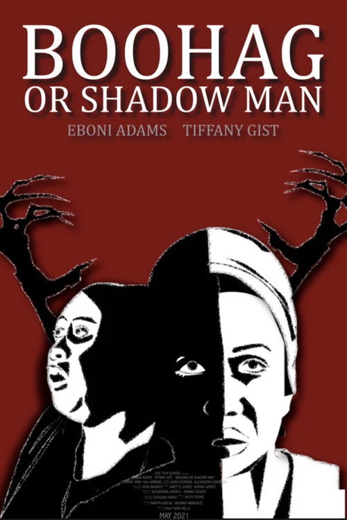 Movie poster for Boo Hag or Shadow Man (2021)
