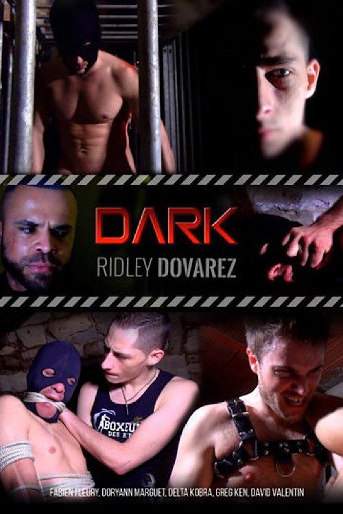 Movie poster for Dark (2017)