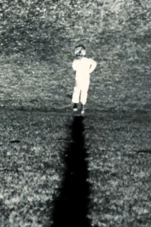 Movie poster for In the form of the letter X (1985)