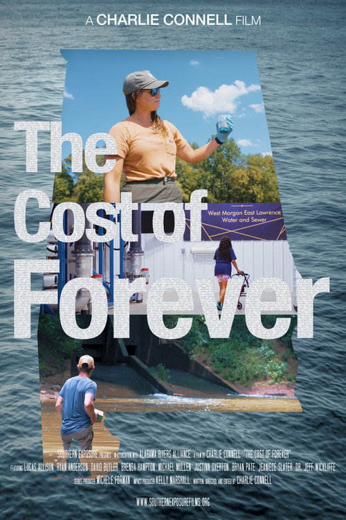 Movie poster for The Cost of Forever (2024)