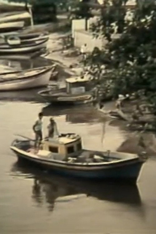 Movie poster for O Grito do Rio (1981)