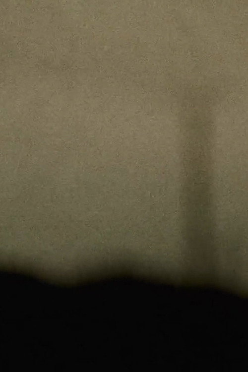 Movie poster for Lenz Elegy (2015)