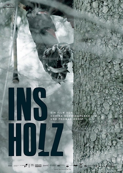 Movie poster for In the Woods (2017)