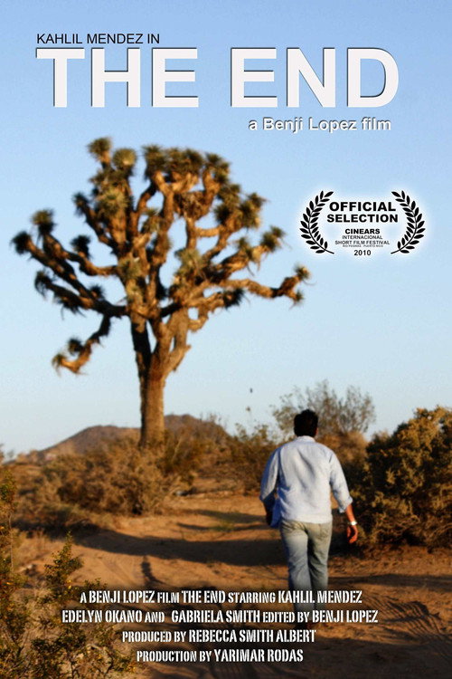 Movie poster for The End (2009)
